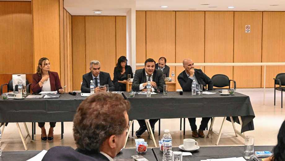 La última reunión del Consejo de la Magistratura de Roca (Foto: Juan Thomes)