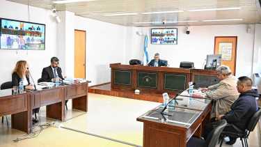 Megaplantación: descubrieron que tenía 55 plantas y 15 kilos de marihuana en una isla del río Negro, terminó imputado