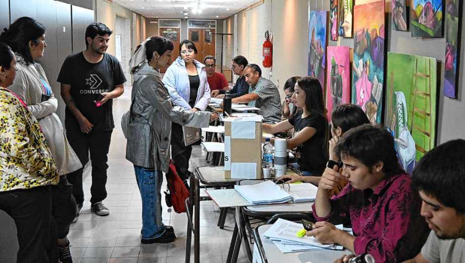 El IUPA elige los representantes de cada claustro para tener su primer Consejo Superior. Foto: Juan Thomes