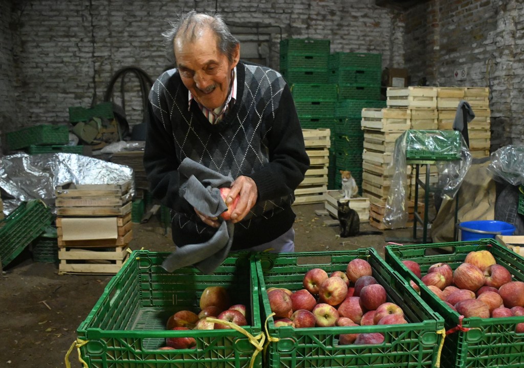 Julio Diez es un productor frutícola de Río Negro, que se niega a dejar de trabajar la fruta: hoy lustra peras y manzanas, una por una, en un galpón contiguo a su vivienda.