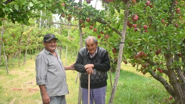 Tiene 99 años, no ve desde los 80, pero sigue en la fruticultura en la Patagonia con una labor que conmueve