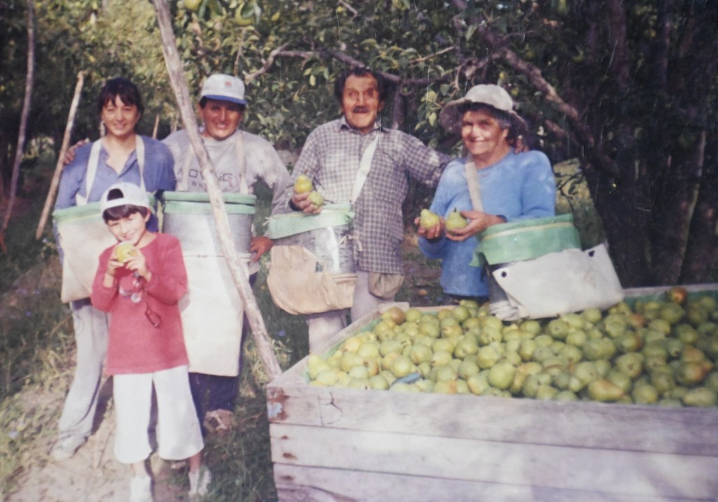 Julio Diez, años atrás, durante una cosecha de peras en su chacra en el Alto Valle junto a su familia.