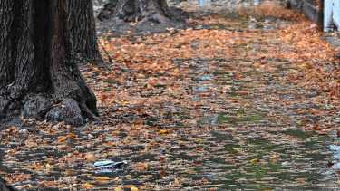 ¿Vuelve el viento al Alto Valle?: el pronóstico para este fin de semana que incluye frío y ráfagas de hasta 50 km/h