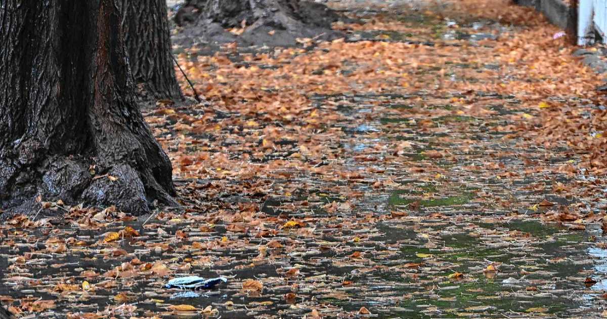 Mañanas frescas y vientos cordilleranos marcan el inicio del otoño en Río Negro