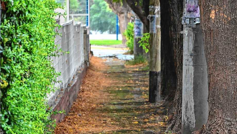 Otoño en el Alto Valle. Foto: Juan Thomes