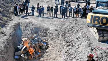 Quema de droga en Roca: incineraron casi 900 plantas y 43 kilos de cannabis de más de 200 causas