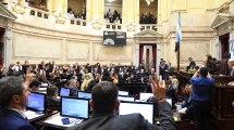 Imagen de Senado: así fue el cuestionamiento de la oposición al Gobierno por el caso $LIBRA, Adorni y discapacidad 