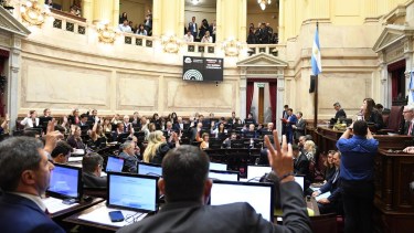Senado: así fue el cuestionamiento de la oposición al Gobierno por el caso $LIBRA, Adorni y discapacidad 