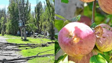 En fotos| El temporal que golpeó a Valle Medio y dejó daños irreparables para la producción local 