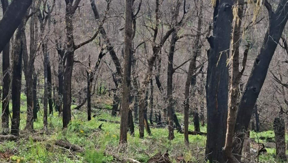 Científicos y técnicos recorrieron el Valle Magdalena para promover políticas de restauración. (Gentileza).
