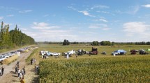 Imagen de Lo que dejó el primer encuentro de maíz bajo riego de la Norpatagonia: el potencial agrícola de Río Negro y Neuquén