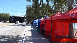 Fiesta de la Marea en San Antonio Oeste: quiénes tocan este sábado