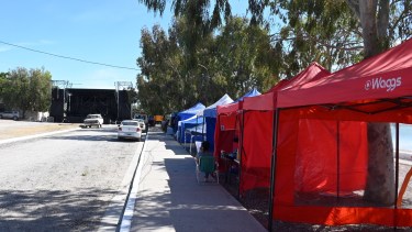 Fiesta de la Marea en San Antonio Oeste: quiénes tocan este sábado