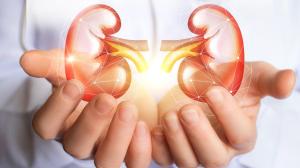 Día Mundial del Riñón: claves para cuidar la salud renal desde la infancia y prevenir enfermedades