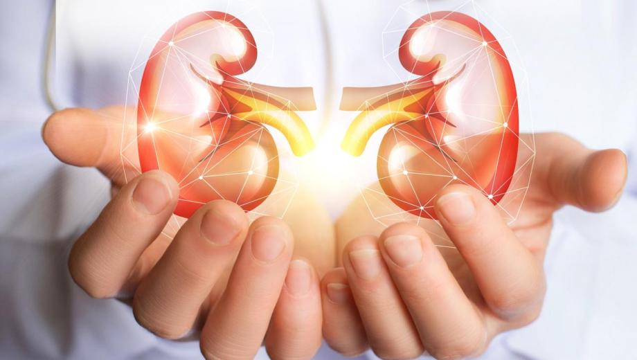 Día mundial del riñón. Fotos gentileza.-