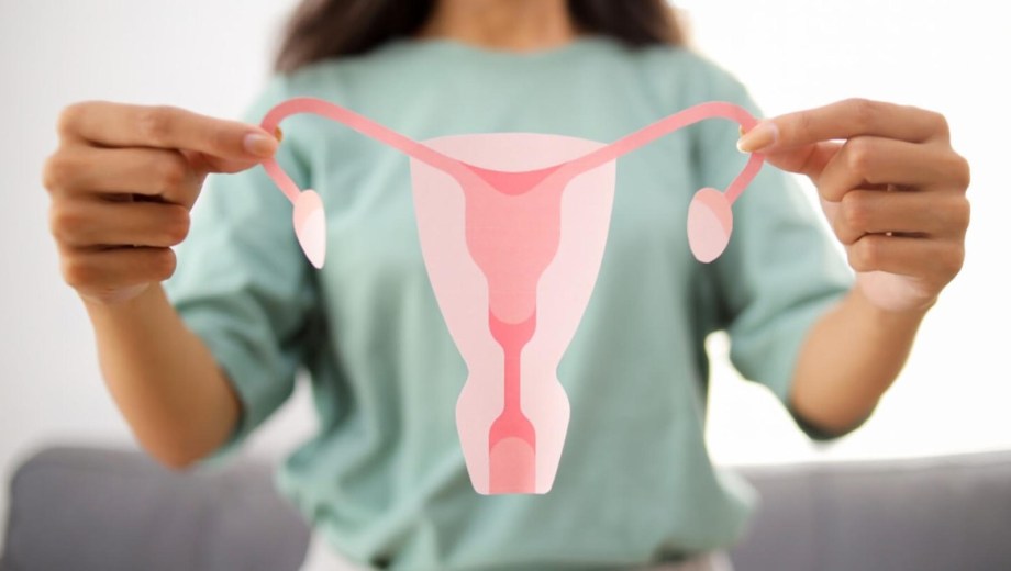 la endometriosis afecta aproximadamente al 10% de las mujeres en edad reproductiva. Foto: ilustrativa.