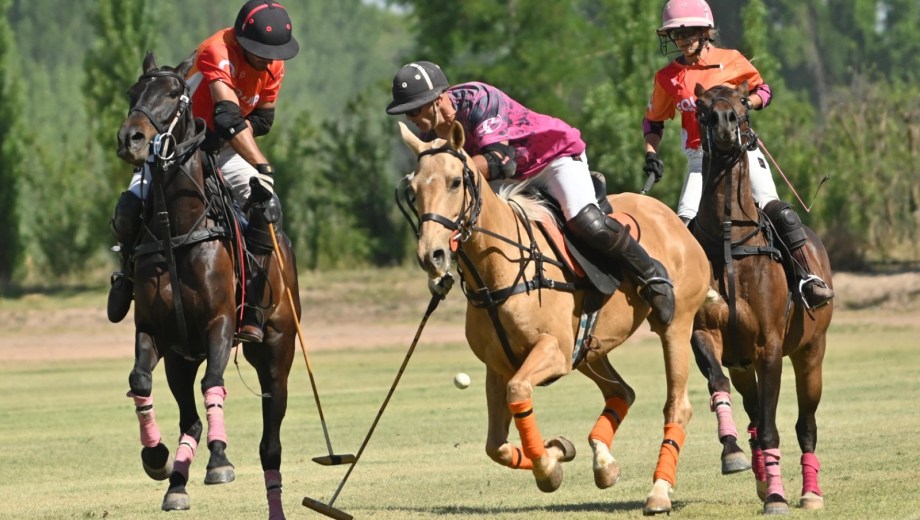 Con 10 equipos, se disputará una nueva competencia de polo en el predio de la Colonia. (Archivo Florencia Salto)