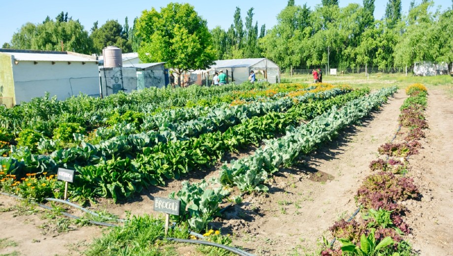 Foto: Gentileza Municipio.