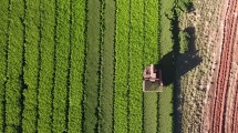 Imagen de De Misiones al gran mercado de China: una cooperativa con más de 30 años de historia exporta yerba mate por primera vez
