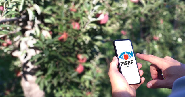 El Pisef permite centralizar información que anteriormente se encontraba dispersa.