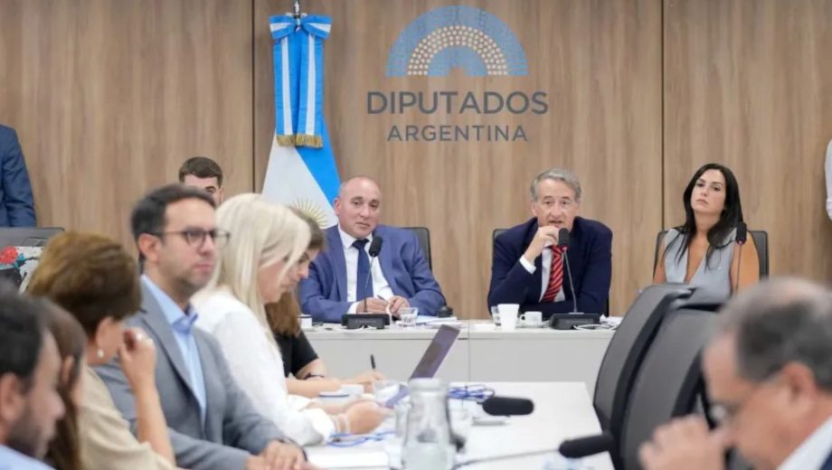 Inician las audiencias por la Ley de Glaciares: con 200 oradores en la primera jornada, se abre el debate por la reforma