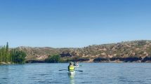 Imagen de Una travesía en kayak por el Río Negro para descubrir el único árbol nativo de los valles irrigados