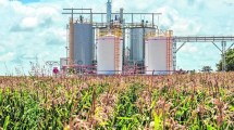 Imagen de En medio de la guerra, diputados de Provincias Unidas instaron al Gobierno a elevar el corte de los biocombustibles