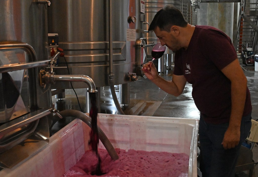 Patagonia no es solo una identificación geográfica: es además sinónimo de vinos de calidad. Foto: Florencia Salto.