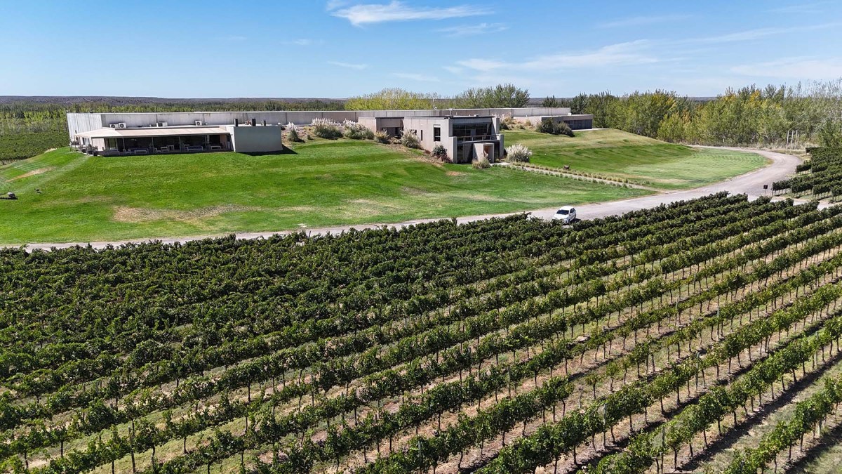 El establecimiento en Neuquén cuenta con 140 hectáreas de viñedos, varias en proceso de reconversión varietal.