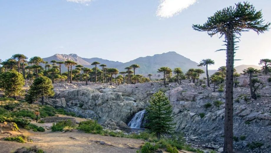 Neuquén lanza la temporada de esquí 2026: los centros presentan sus propuestas para el invierno