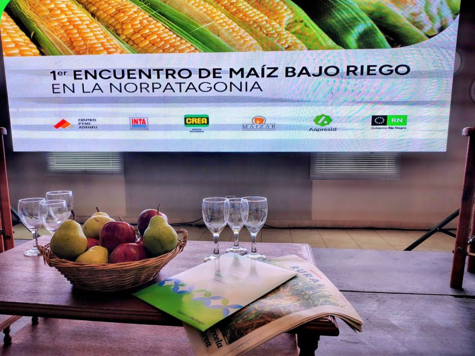 Se debate el futuro del maíz en el norte de la Patagonia.