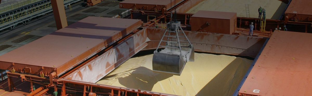 Delfino SA sigue ligada al agro, pero ha ampliado notablemente su negocio. Foto: gentileza Delfino SA.