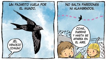 «Un pajarito», la tira de Chelo Candia en el suple Viajes y Turismo a 44 años de la gesta de Malvinas