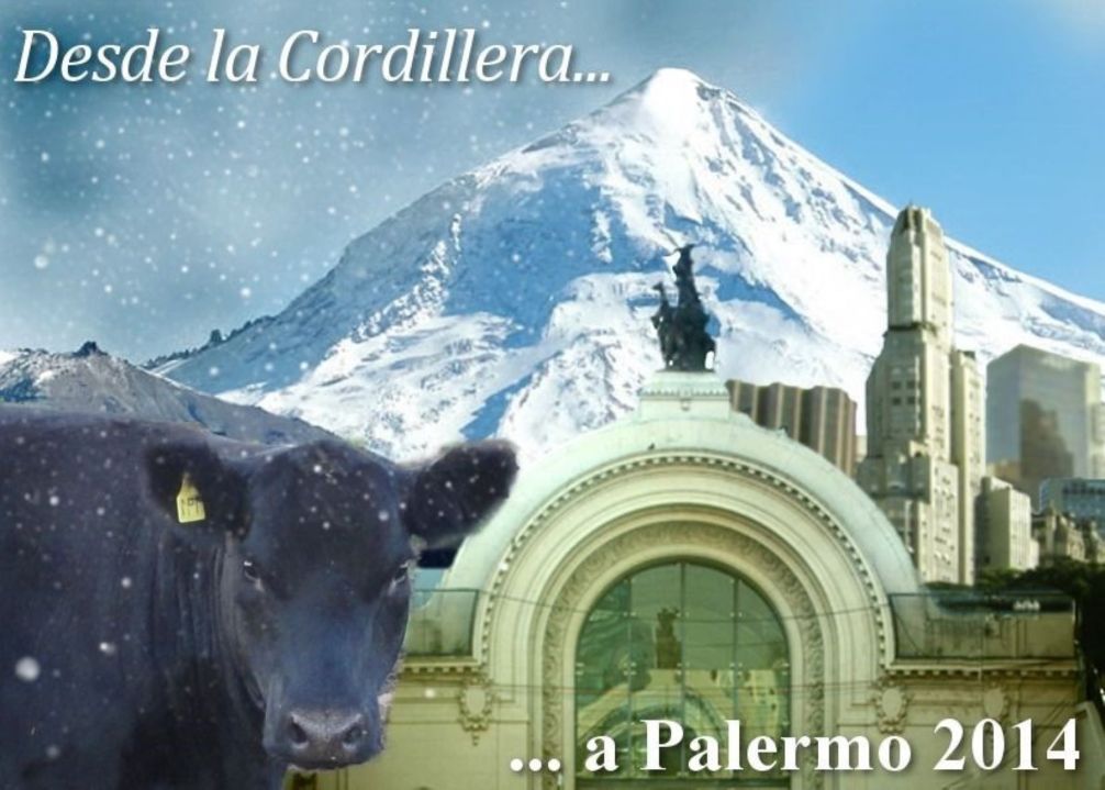 «Montañesa», de origen patagónico. Foto: gentileza EuroArgen.