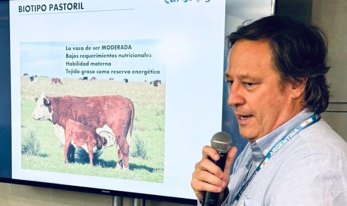 Ricardo Cantarelli, referente de Cabaña La Argentina. Foto: gentileza EuroArgen.