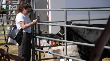 En Expoagro 2026 se habló de Río Negro como la nueva frontera para la ganadería argentina