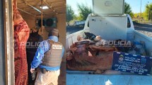 Imagen de Golpe a la faena clandestina en Neuquén: secuestran media tonelada de carne y detectan grave contaminación