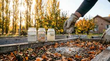 Cómo preparar tu jardín para el frío: 3 fertilizantes naturales que debés conocer