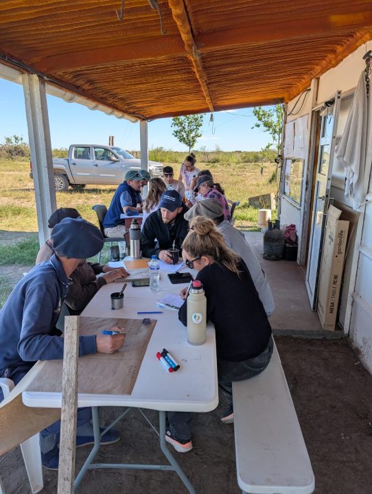 Análisis y puesta en común. La discusión de observaciones y criterios permite transformar la experiencia en decisiones de manejo más ajustadas.