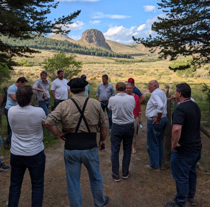 Intercambio en territorio. El análisis colectivo de situaciones reales permite contrastar criterios y mejorar la toma de decisiones en el propio campo. Foto: Federico Boggio.