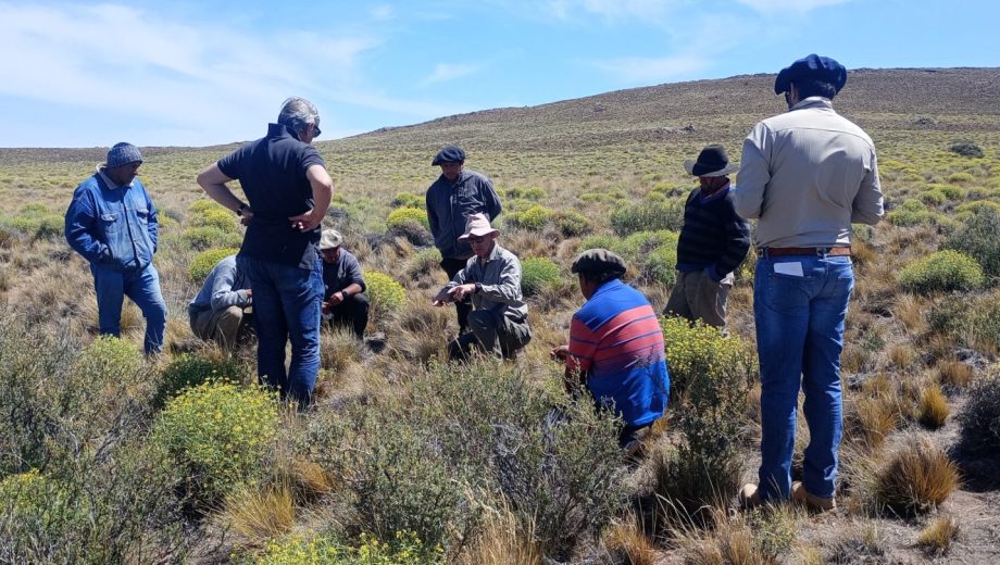 Observación en campo. La calidad de las decisiones depende de la capacidad de interpretar el estado del pastizal en el momento adecuado. Foto: Federico Boggio.