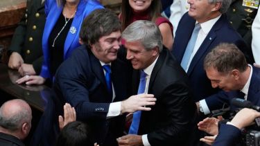 Milei dijo que quiere extender el RIGI y aseguró que profundizará su política de apertura económica