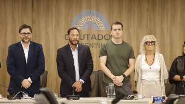 $LIBRA: denunciarán al fiscal Taiano por «entorpecer»el caso y pedirán que Milei de explicaciones