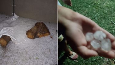 En fotos | Productores de Valle Medio impactados tras el fuerte temporal: «Yo nunca lo había visto»