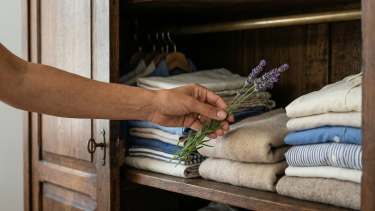 Para qué sirve poner lavanda en el placard: beneficios que pocos conocen