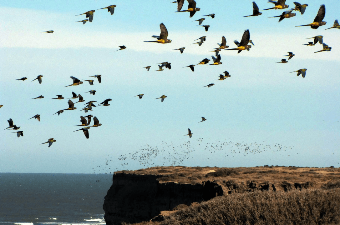 De Viedma a Las Grutas: qu&eacute; hacer en el fin de semana largo