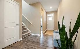 Tres plantas ideales para tener en el pasillo: requieren poca luz y transforman el ambiente