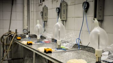 Por la baja en el consumo de preservativos, la fabrica de Tulipán redujo su planta de trabajadores un 60%