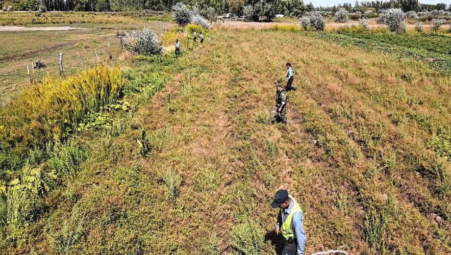 Más de 13 allanamientos, rastrillajes y pericias sin resultados marcan un caso sin pistas firmes a casi un mes de la desaparición. Foto Juan Thomes.