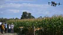 Imagen de En imágenes, así fue el primer encuentro de maíz bajo riego de la Norpatagonia